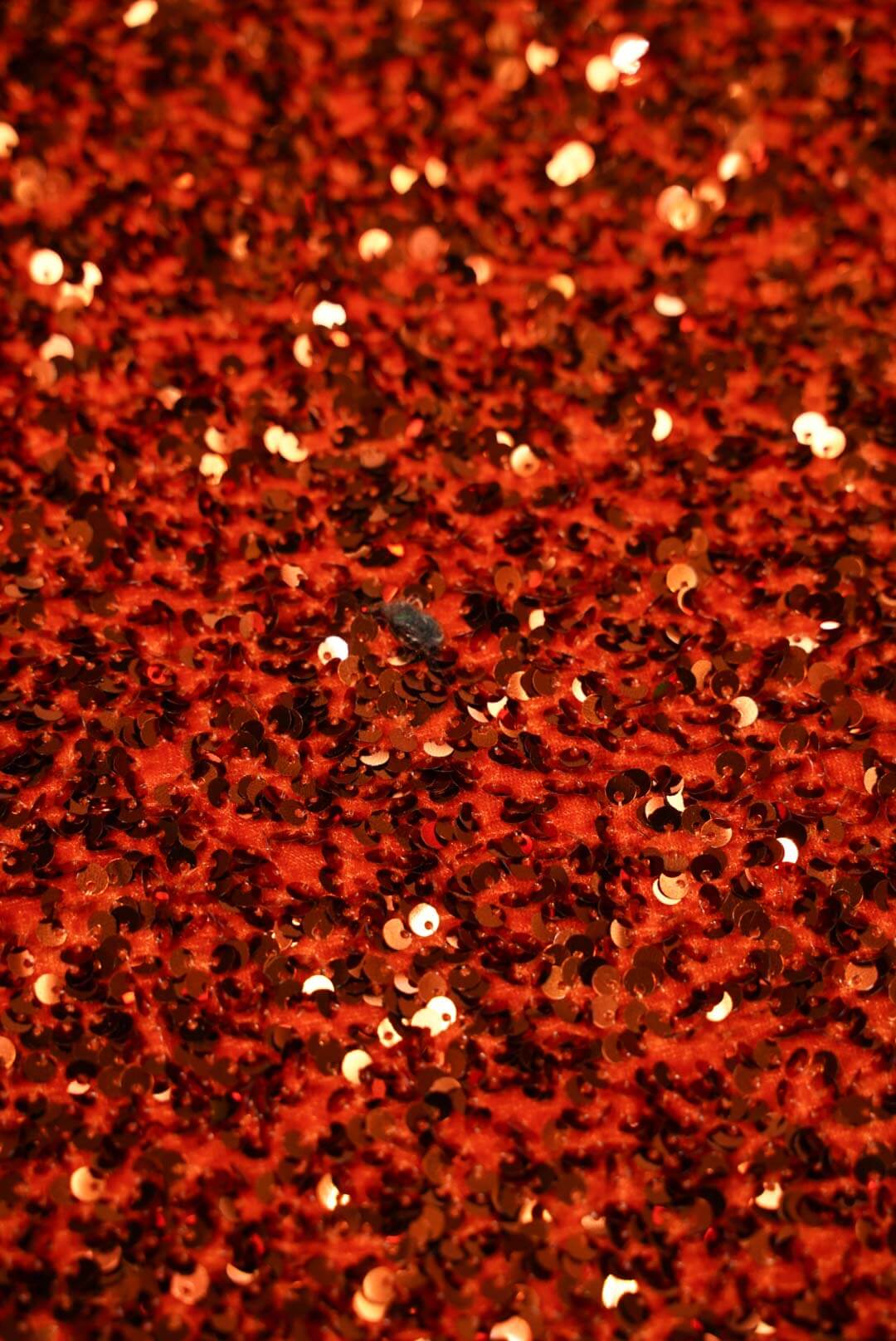 Sequin Stretch Velvet