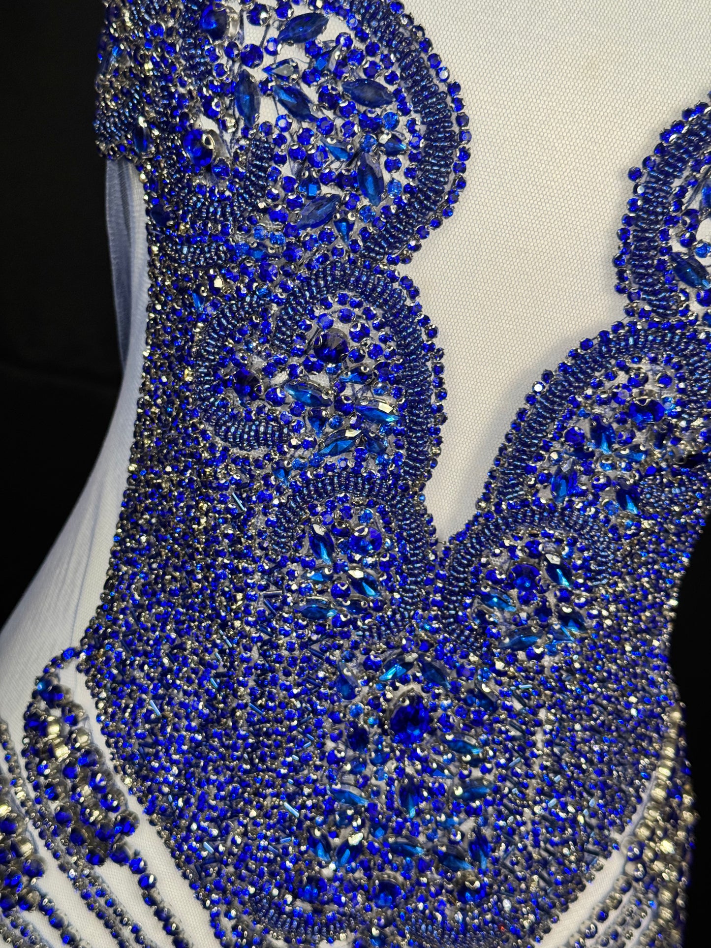 Rhinestone Bodice 1