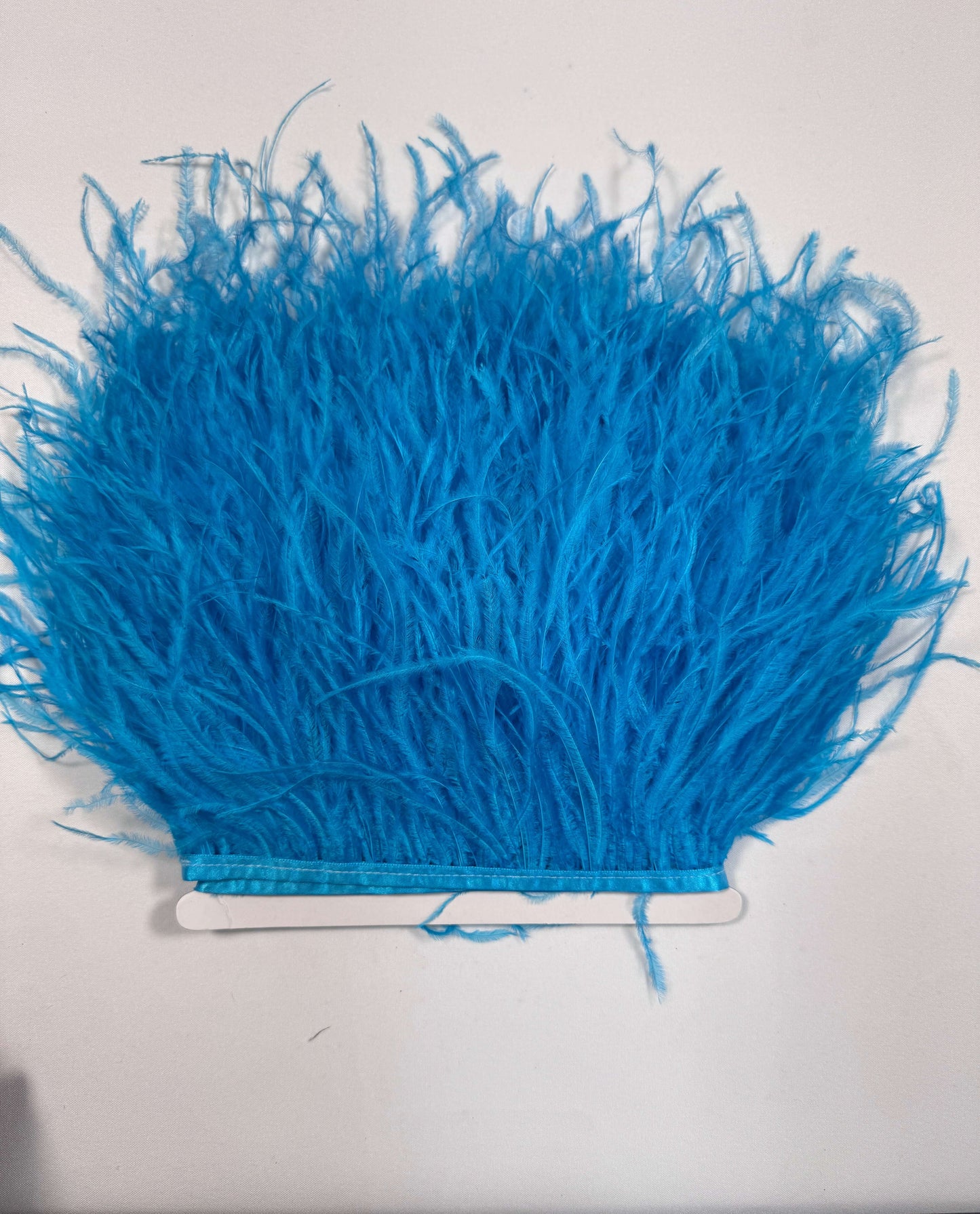 Ostrich Feather Trim