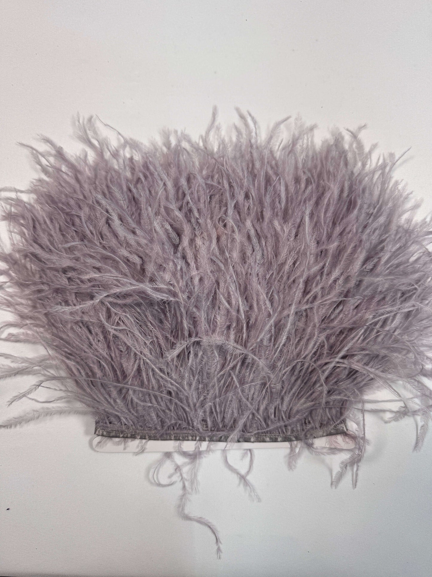 Ostrich Feather Trim
