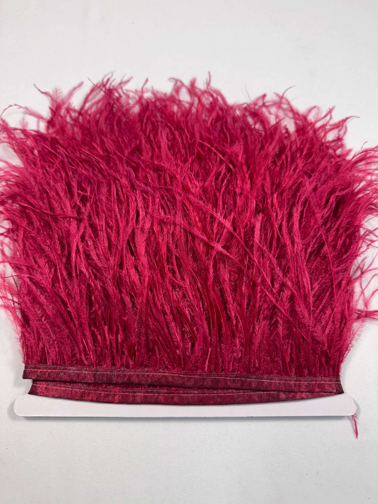 Ostrich Feather Trim