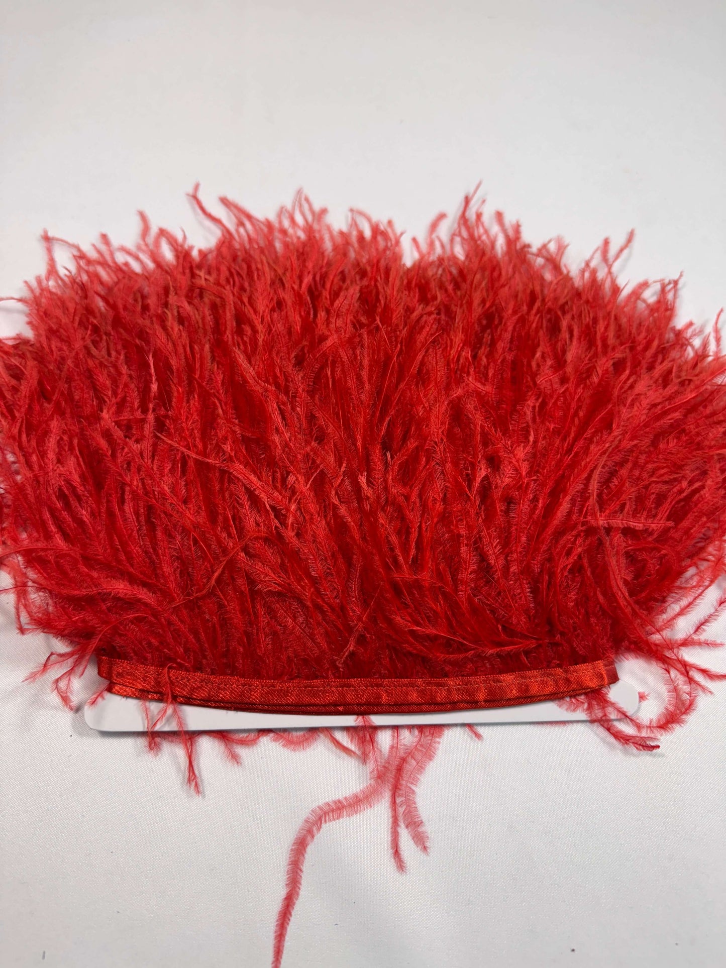 Ostrich Feather Trim