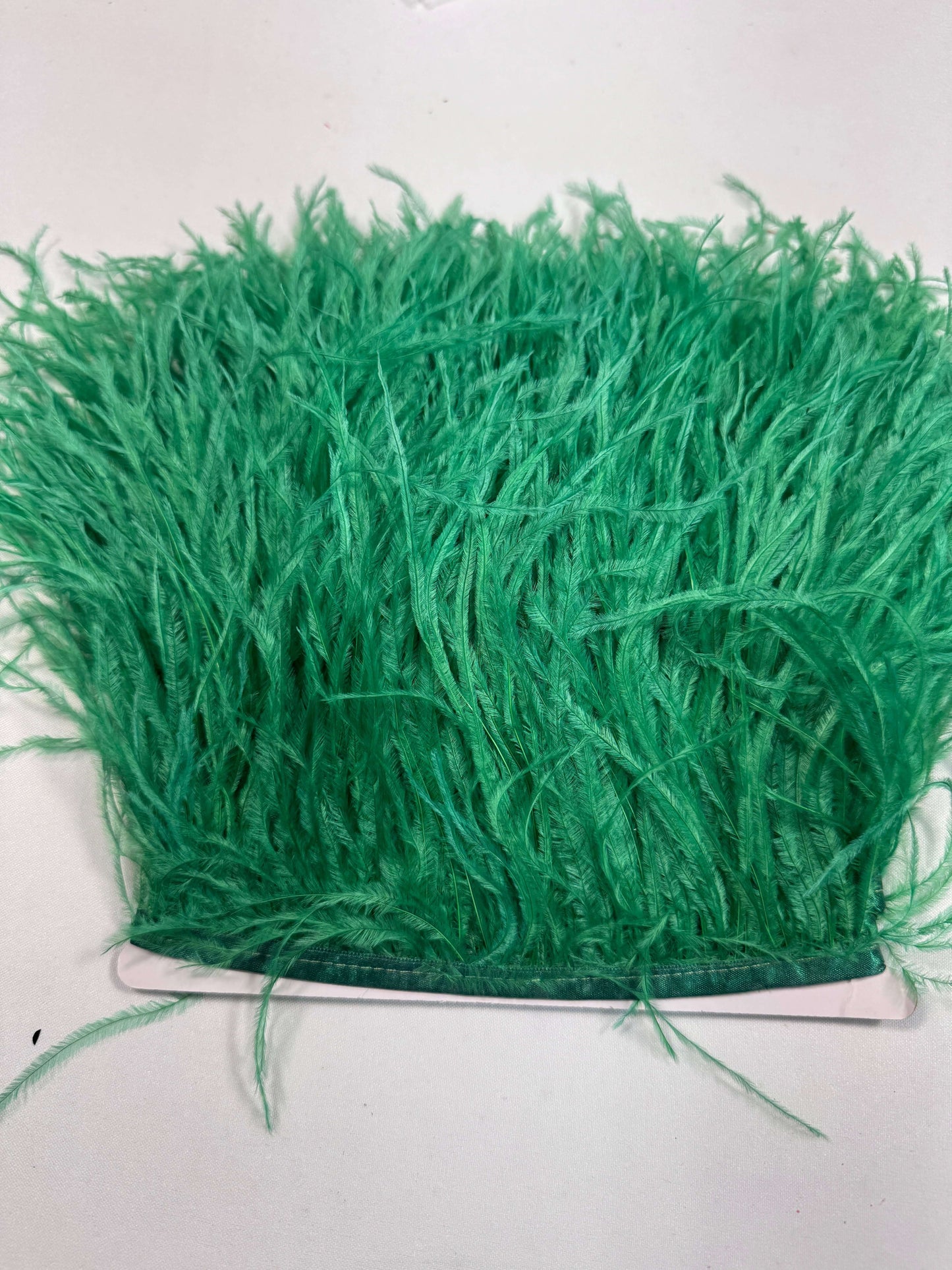 Ostrich Feather Trim