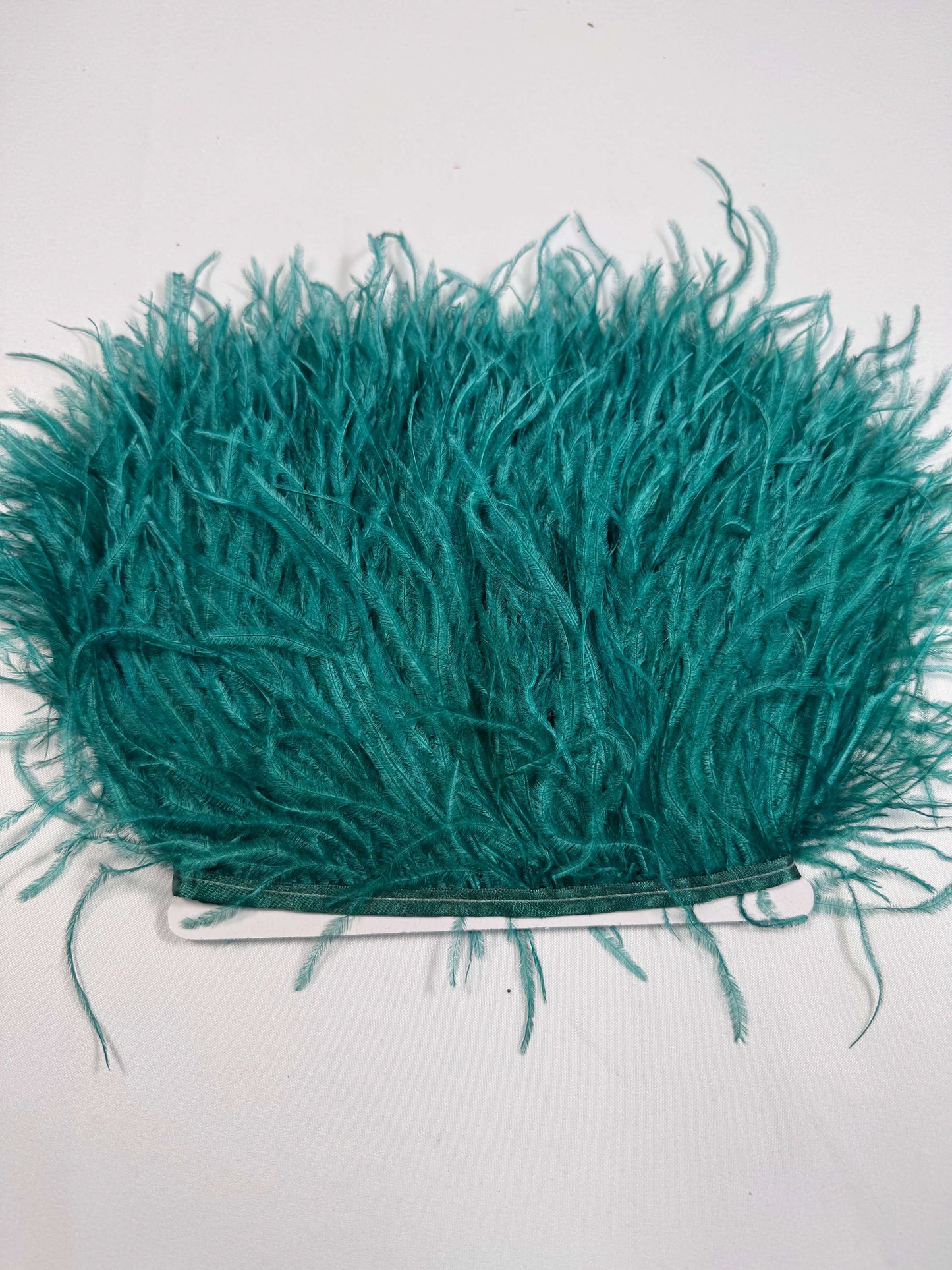 Ostrich Feather Trim