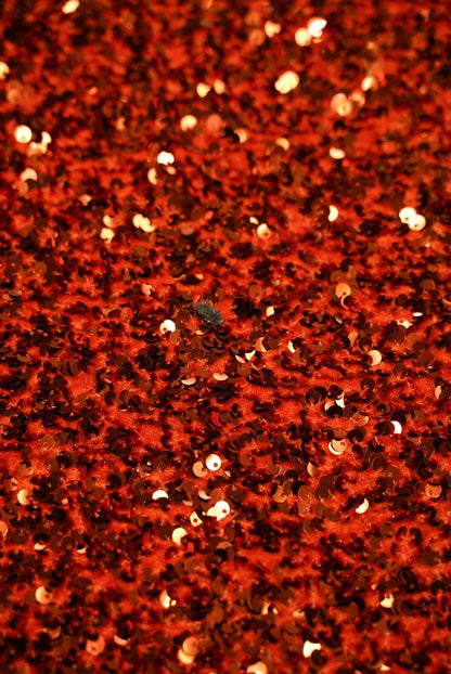 Sequin Stretch Velvet