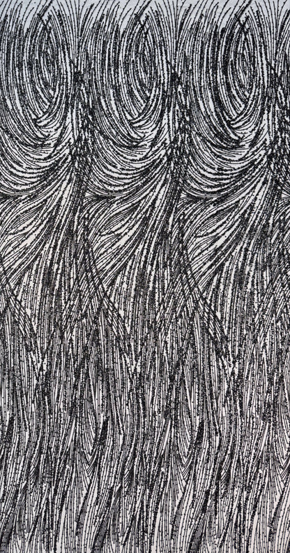 Glitter lace mesh Full elegant design