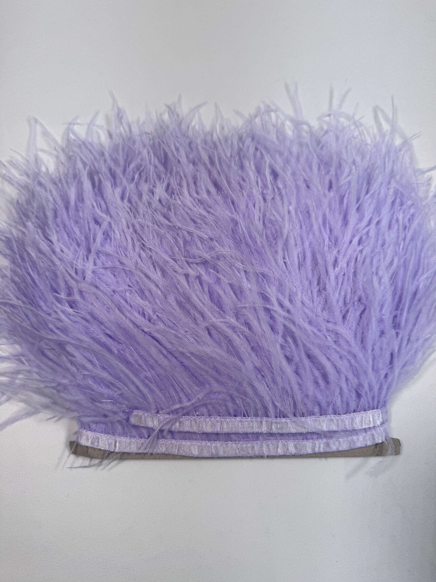 Ostrich Feather Trim