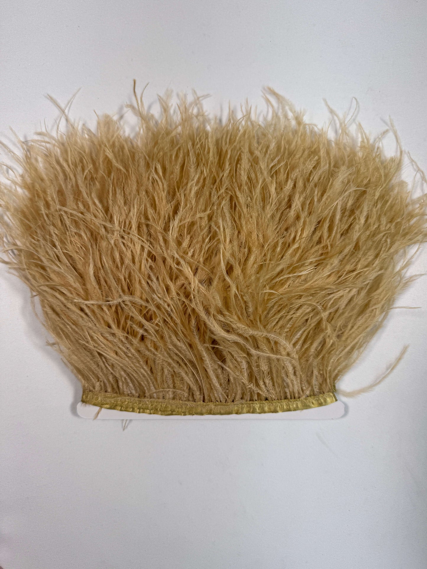 Ostrich Feather Trim