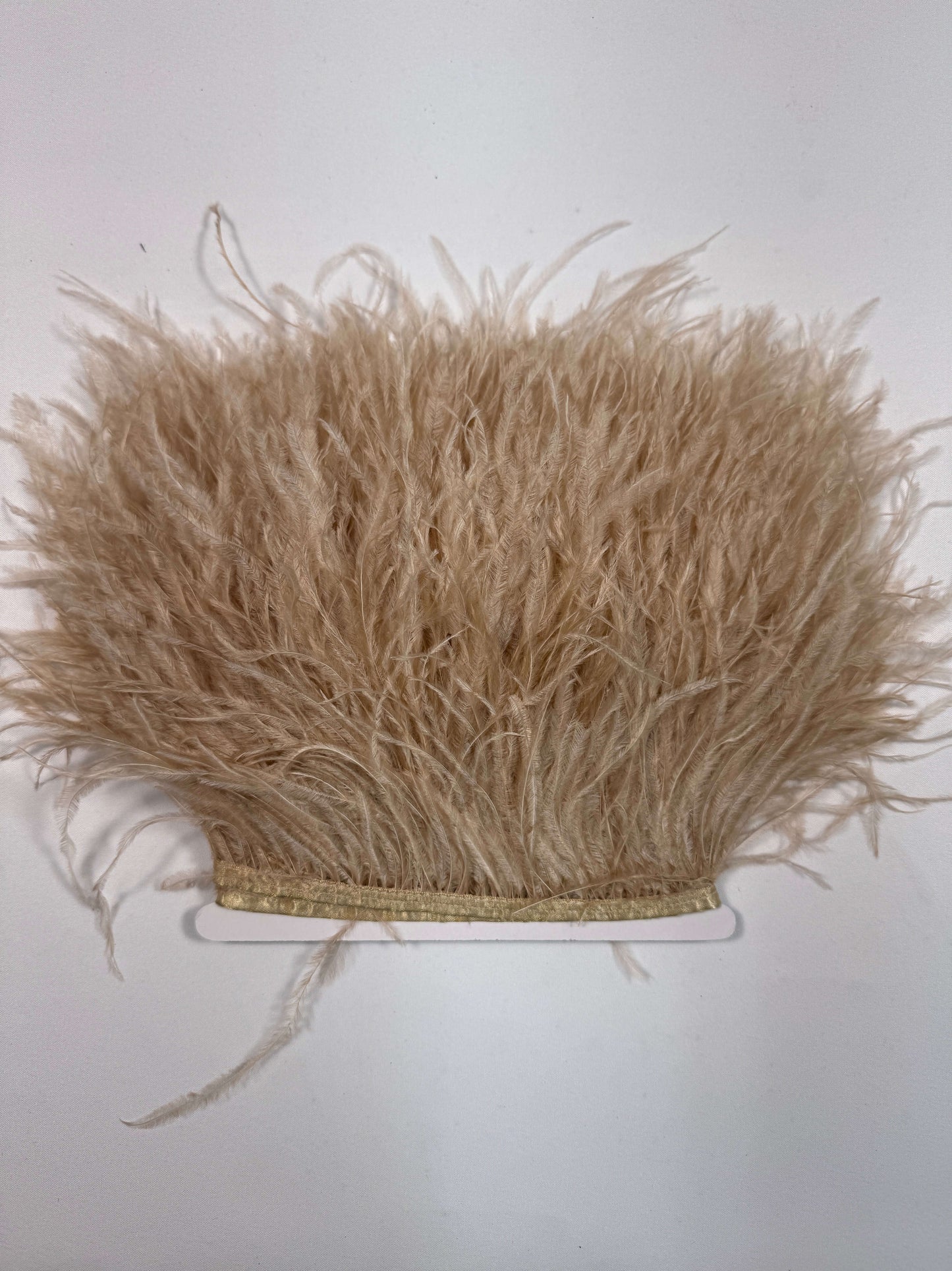Ostrich Feather Trim