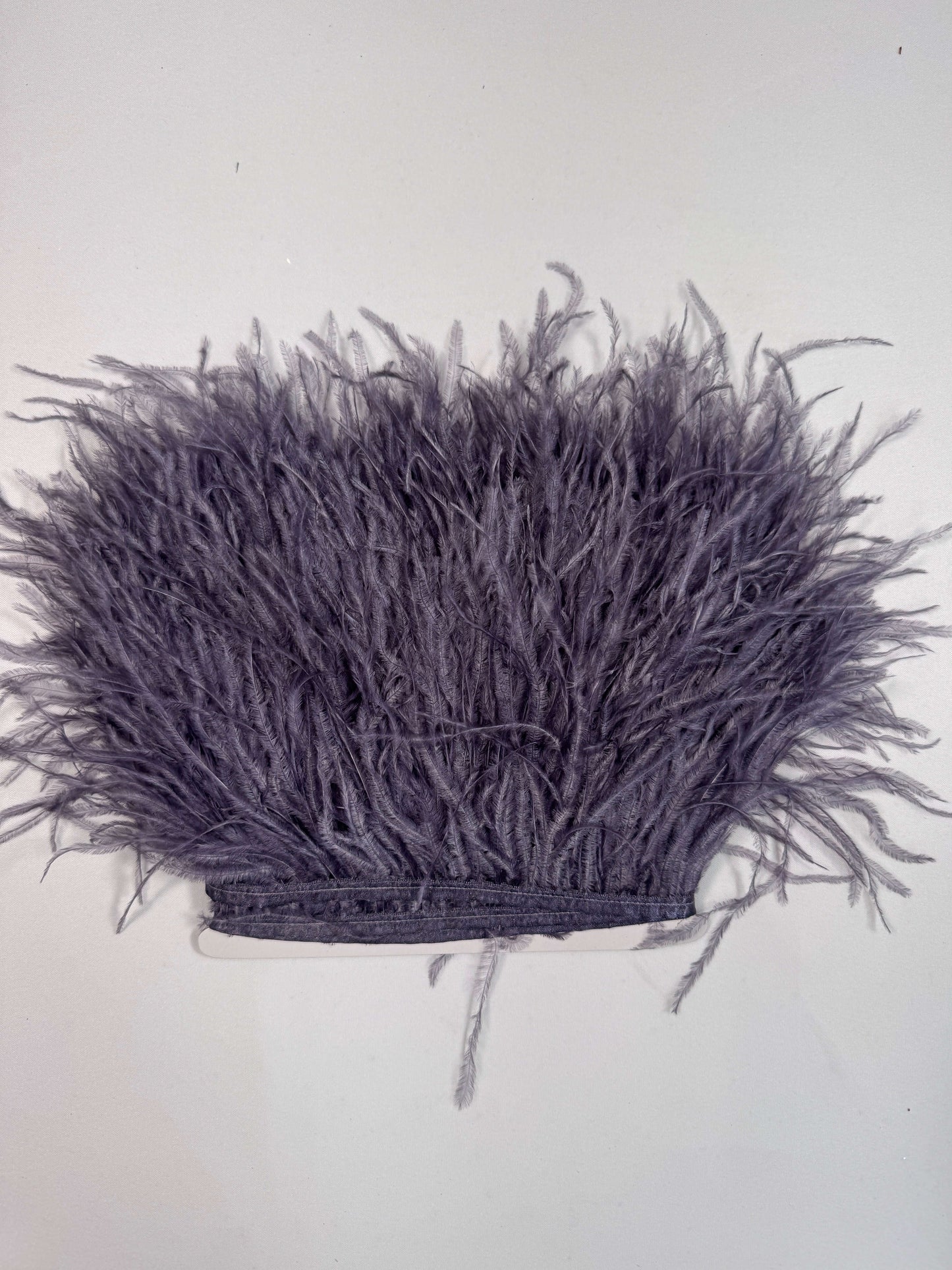 Ostrich Feather Trim