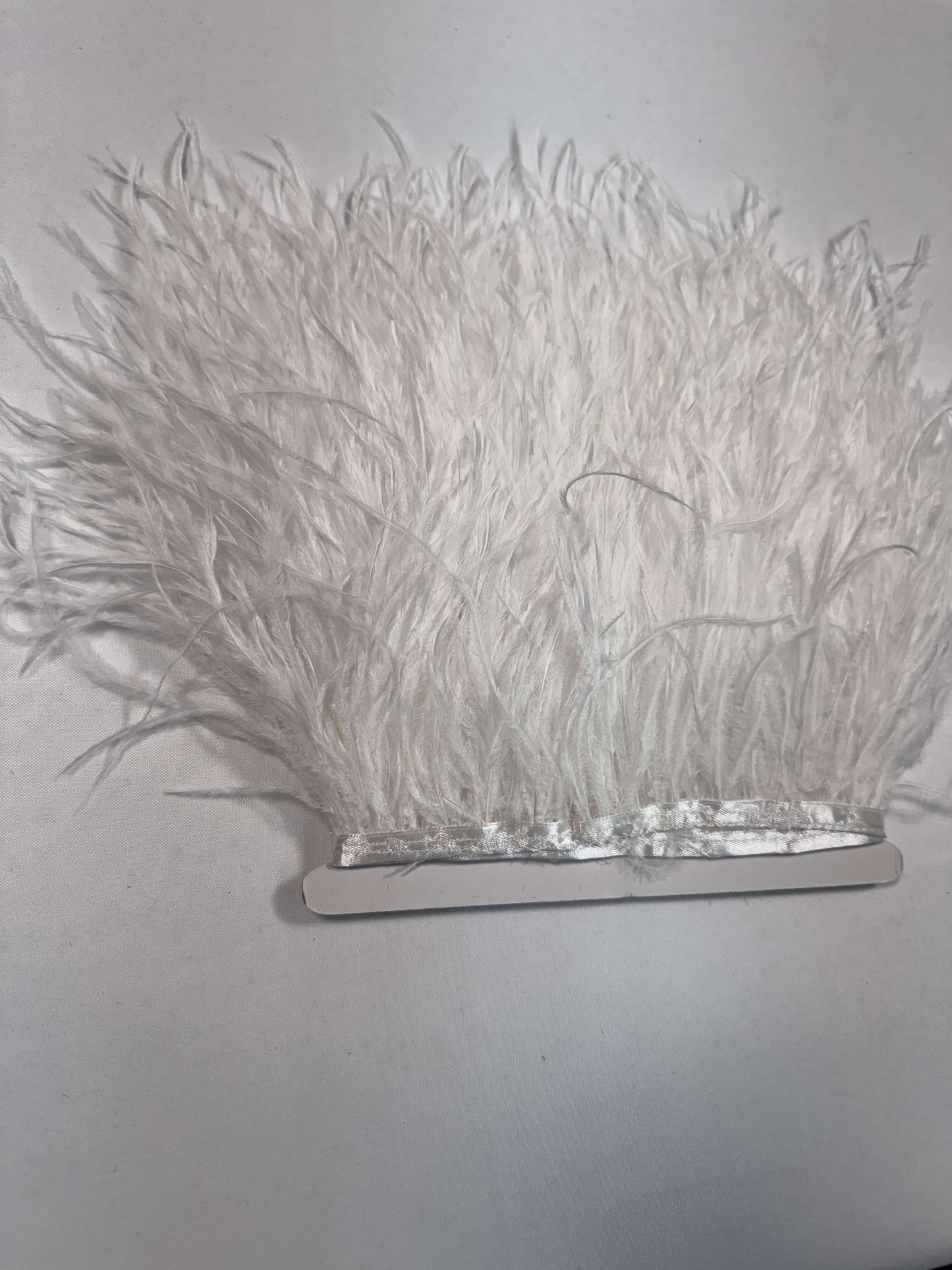 Ostrich Feather Trim