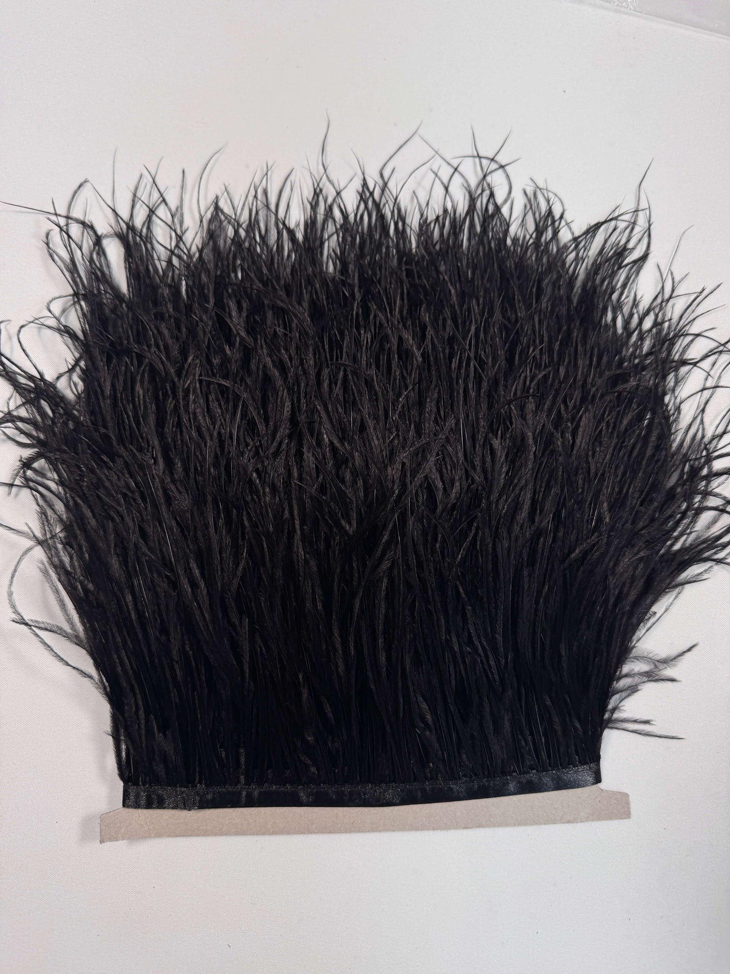 Ostrich Feather Trim
