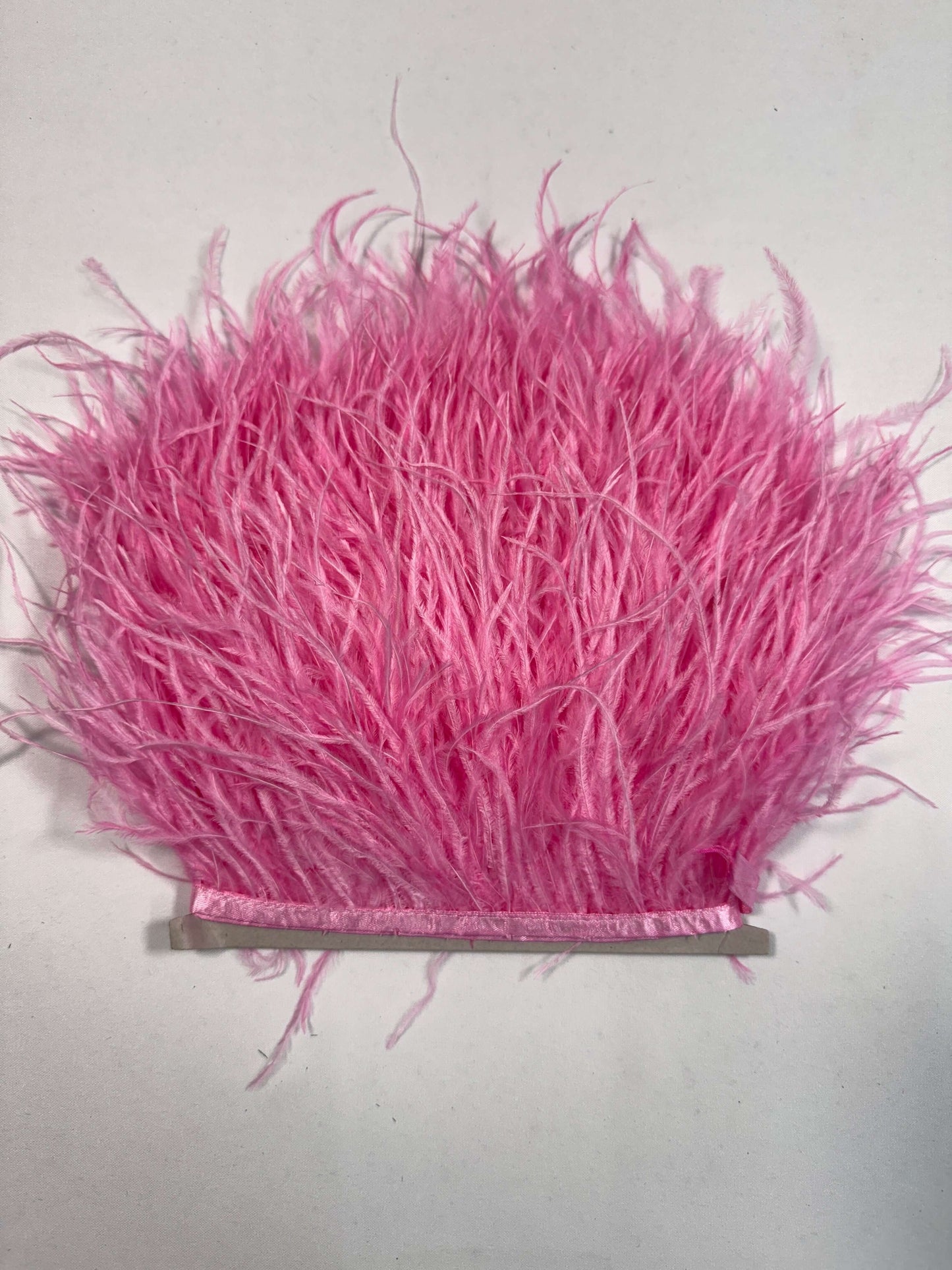 Ostrich Feather Trim