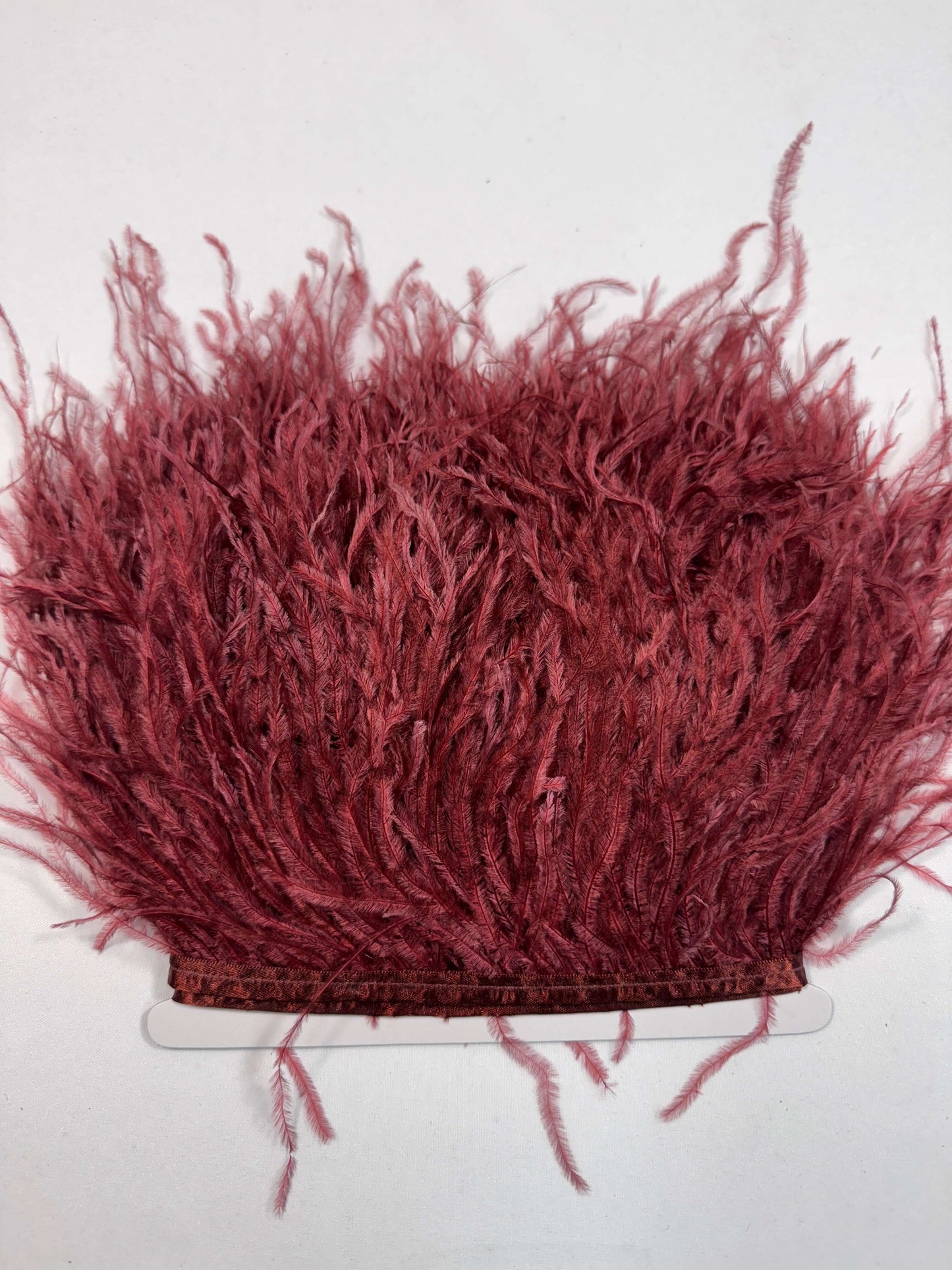 Ostrich Feather Trim
