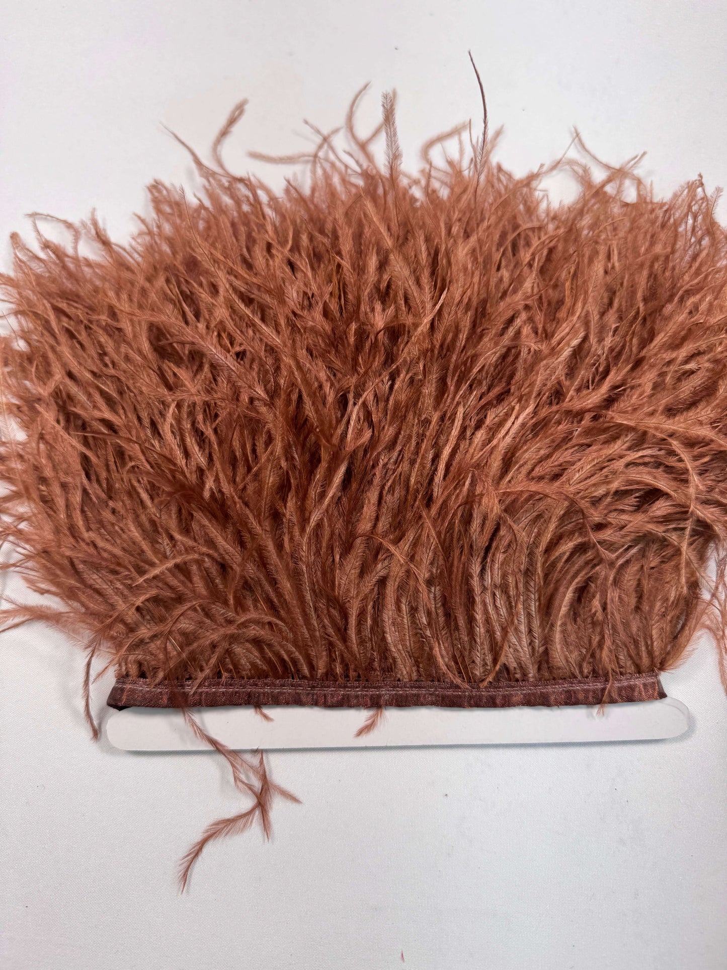 Ostrich Feather Trim