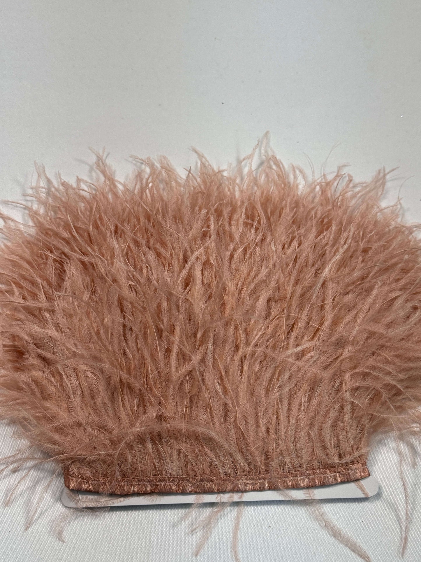 Ostrich Feather Trim