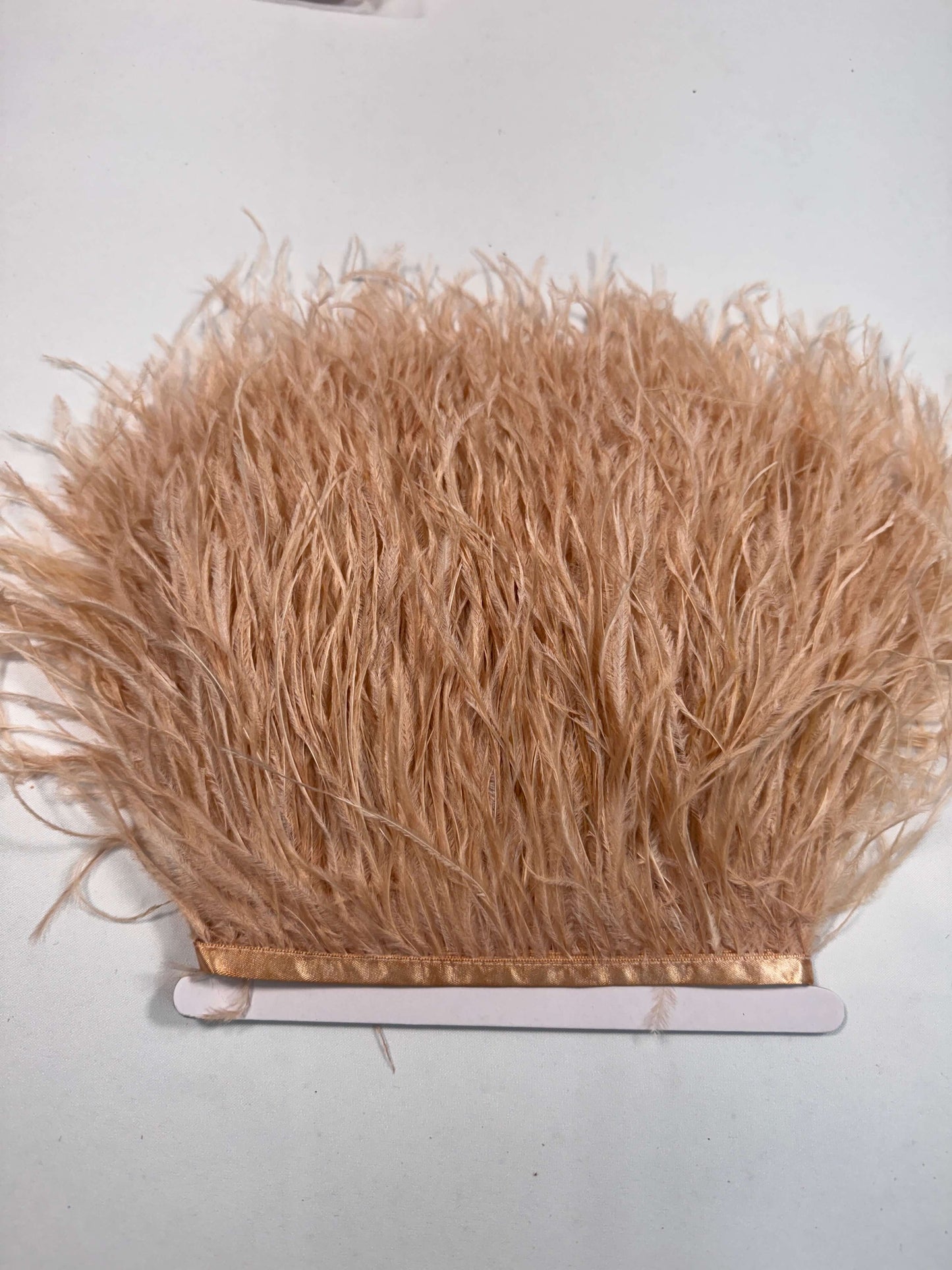 Ostrich Feather Trim