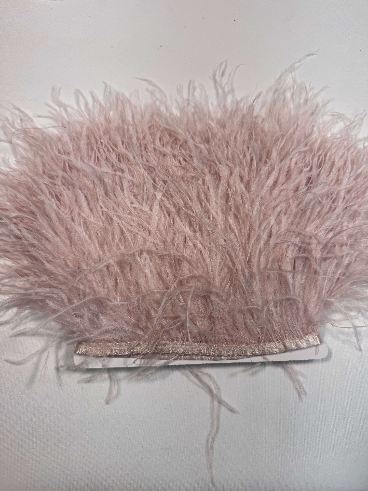 Ostrich Feather Trim