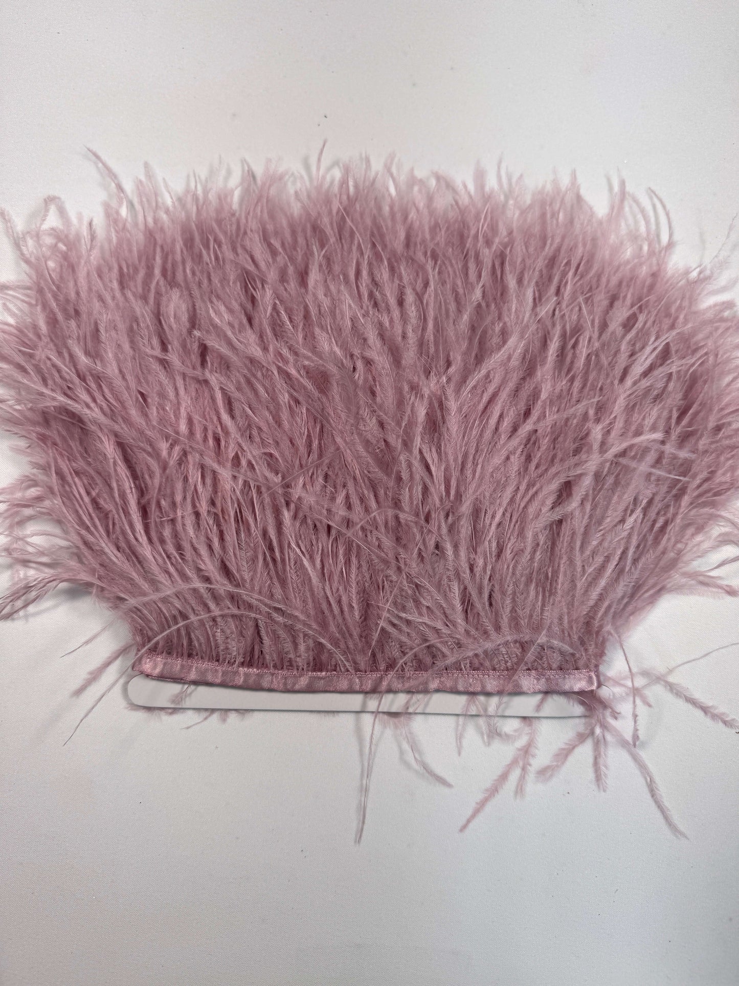 Ostrich Feather Trim