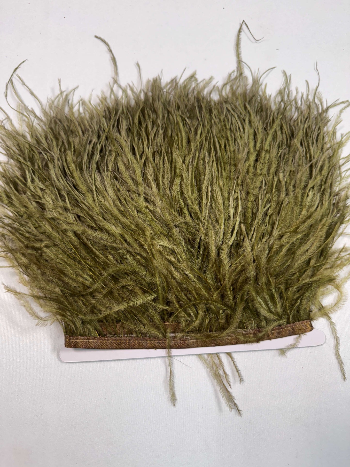 Ostrich Feather Trim
