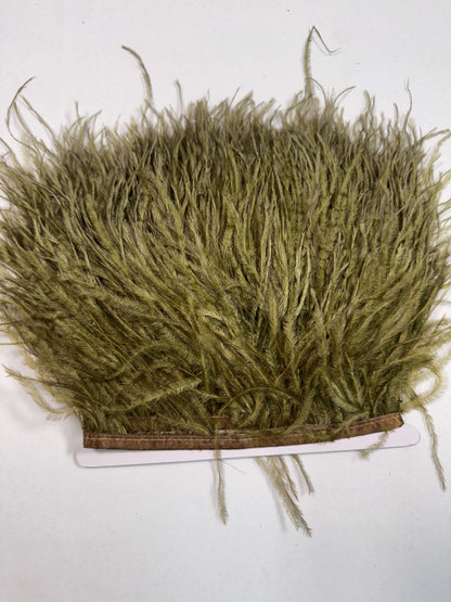 Ostrich Feather Trim