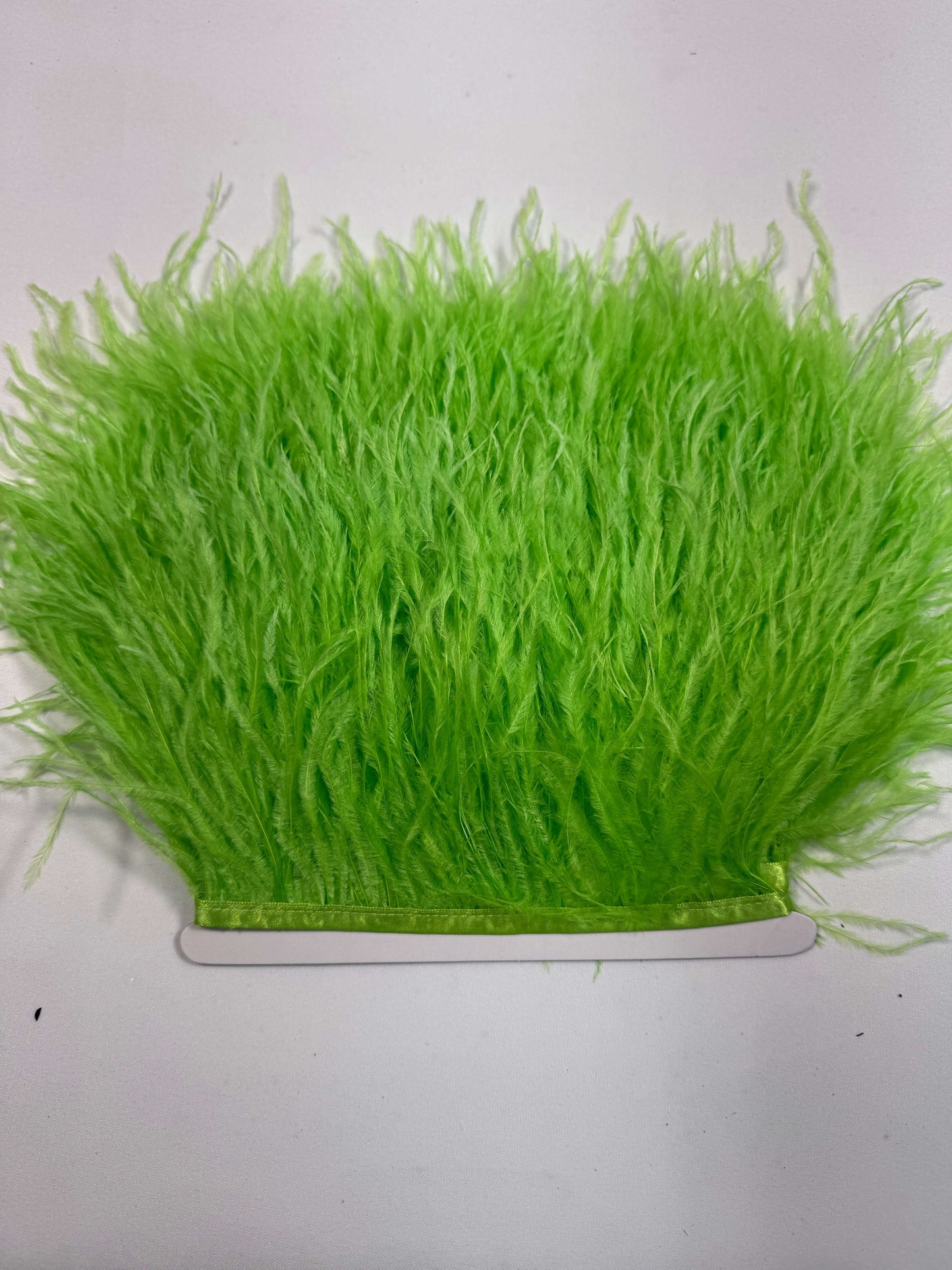 Ostrich Feather Trim