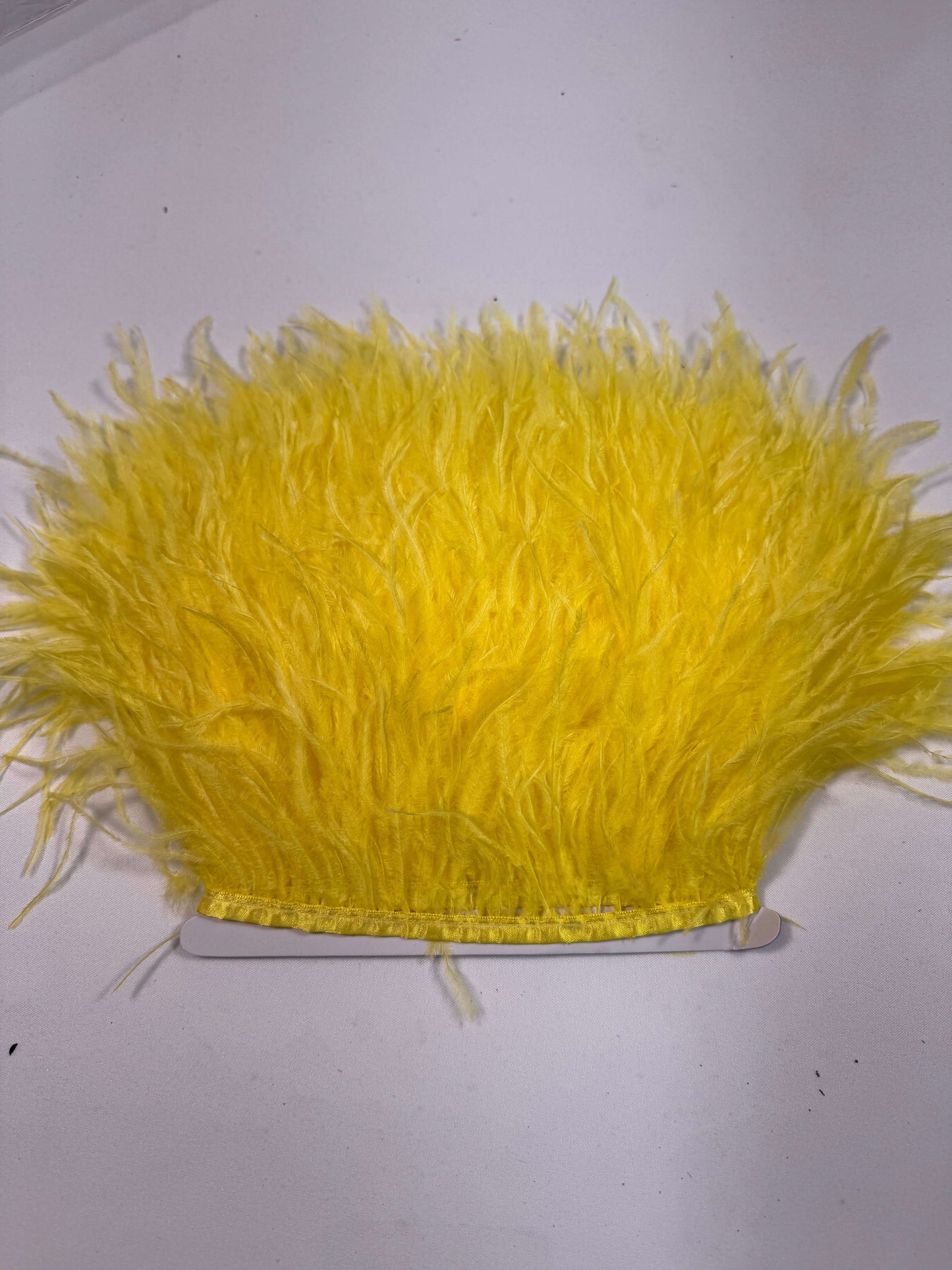 Ostrich Feather Trim